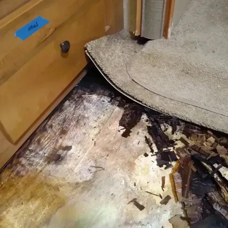 Wood Floor Water Damage in Clark-Fulton, OH